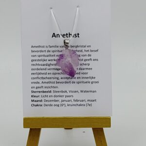 Amethist hanger